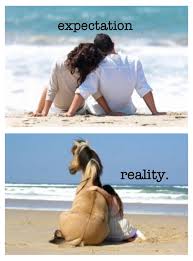 Horse Vacations