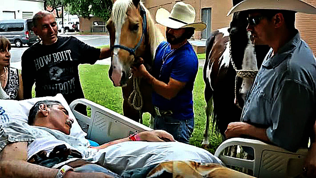 Horse Visits Dying Vietnam Veteran Owner For Heartfelt Goodbye