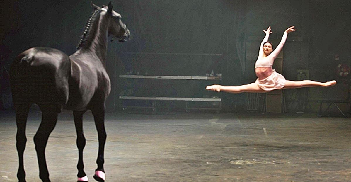 Horse And Ballerina Perform Imaginative Dance Together - Hysterical Commercial