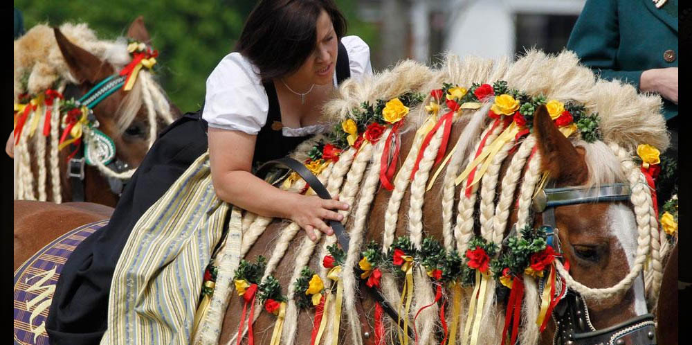 Horse Hair Braiding