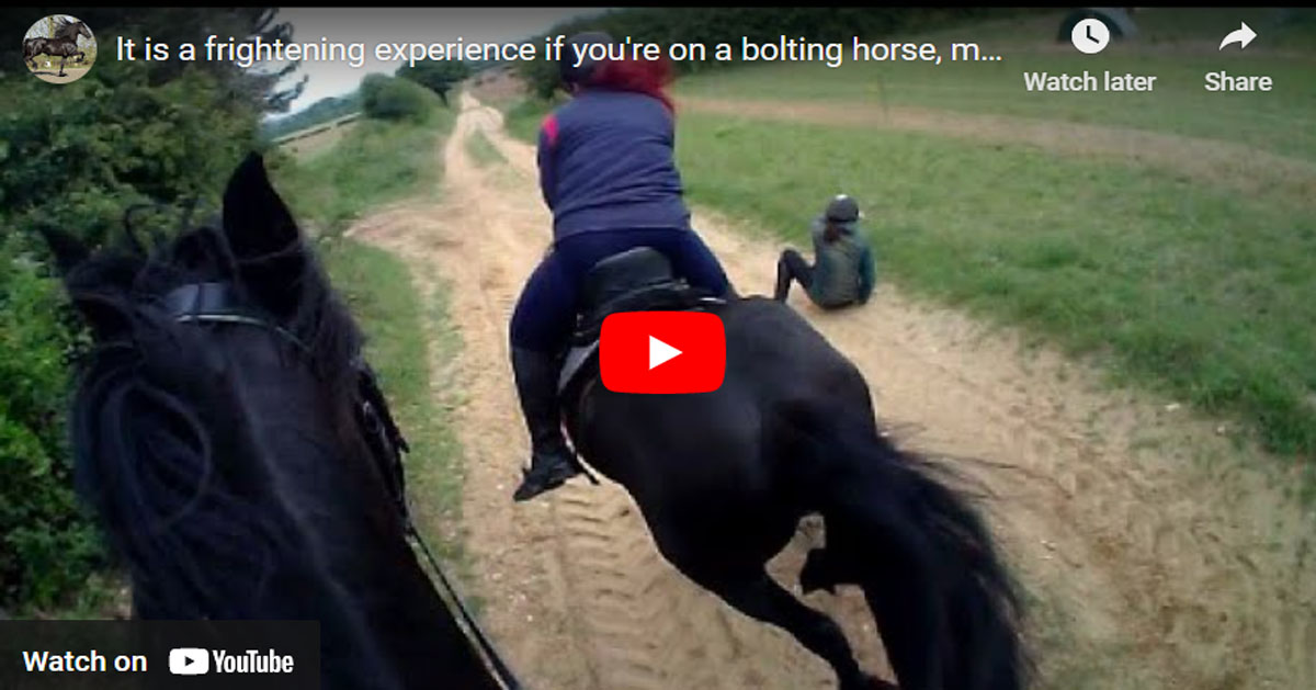 Apollo the Wonder Horse stays calm while other horses bolt all around him