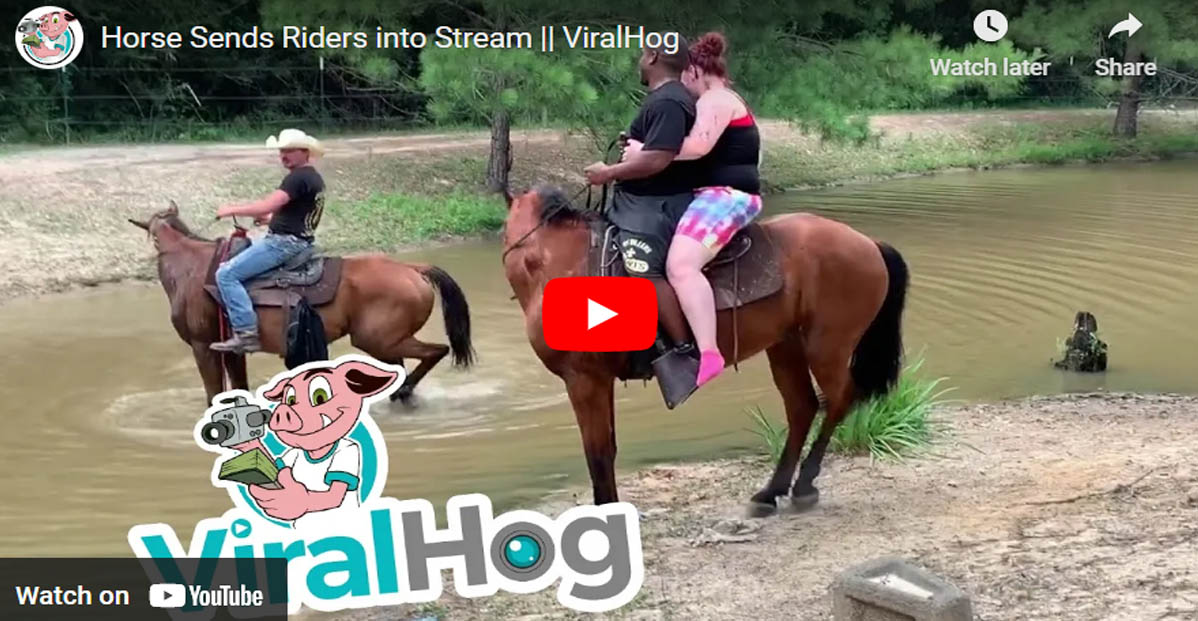 Horse Throws Riders Into Stream