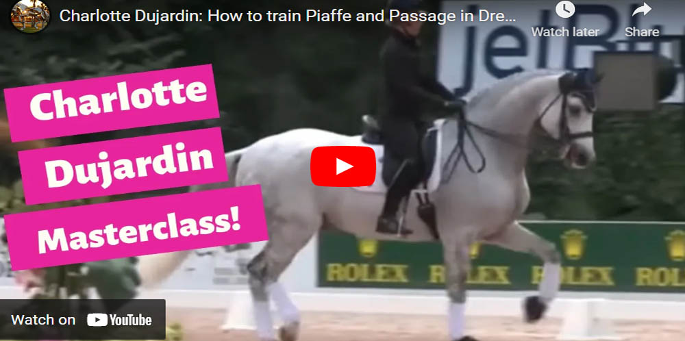 Horse Training Videos Online