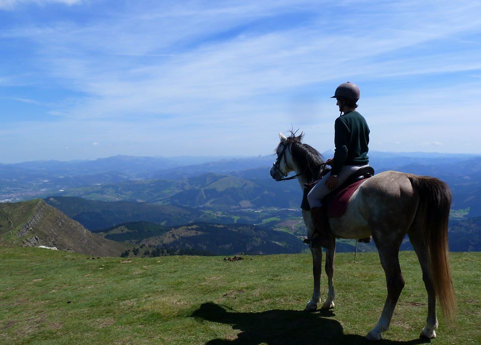 Stunning Horseback Views