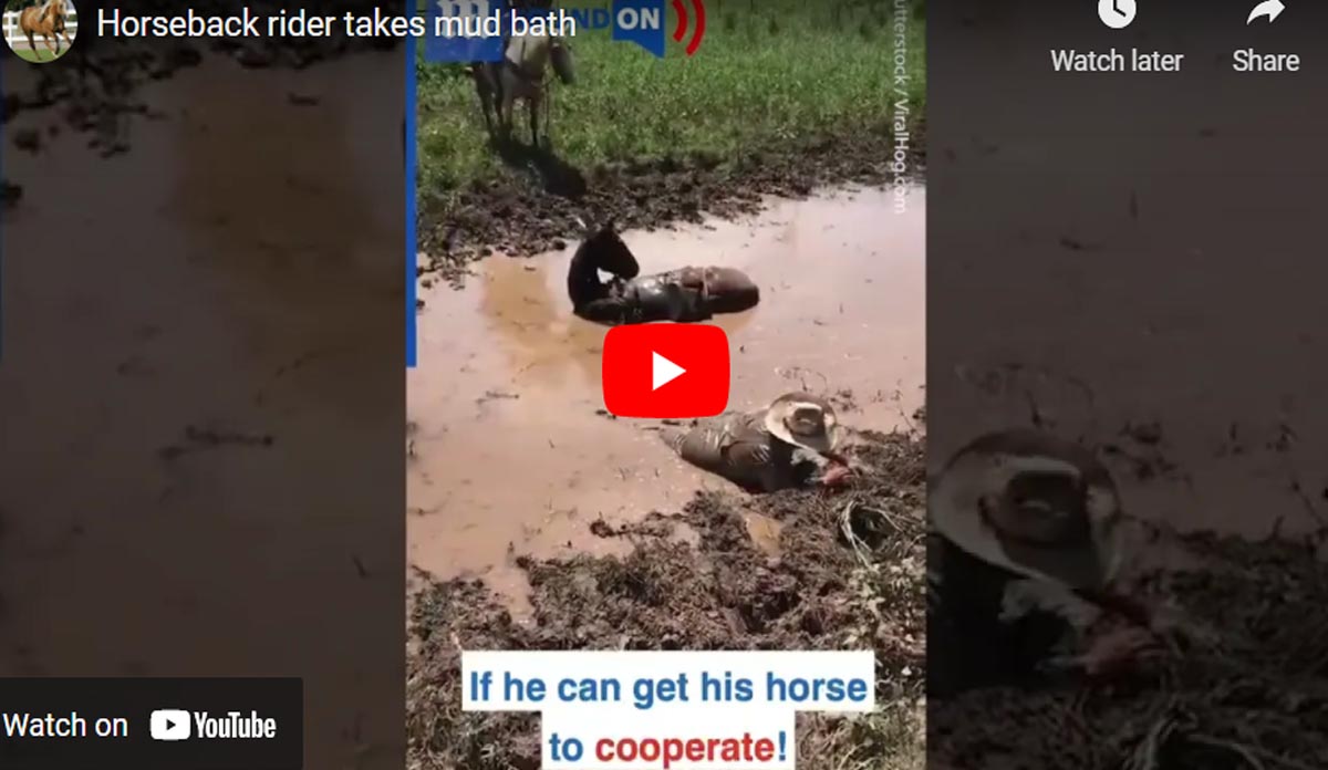 Horseback Rider Takes Mud Bath