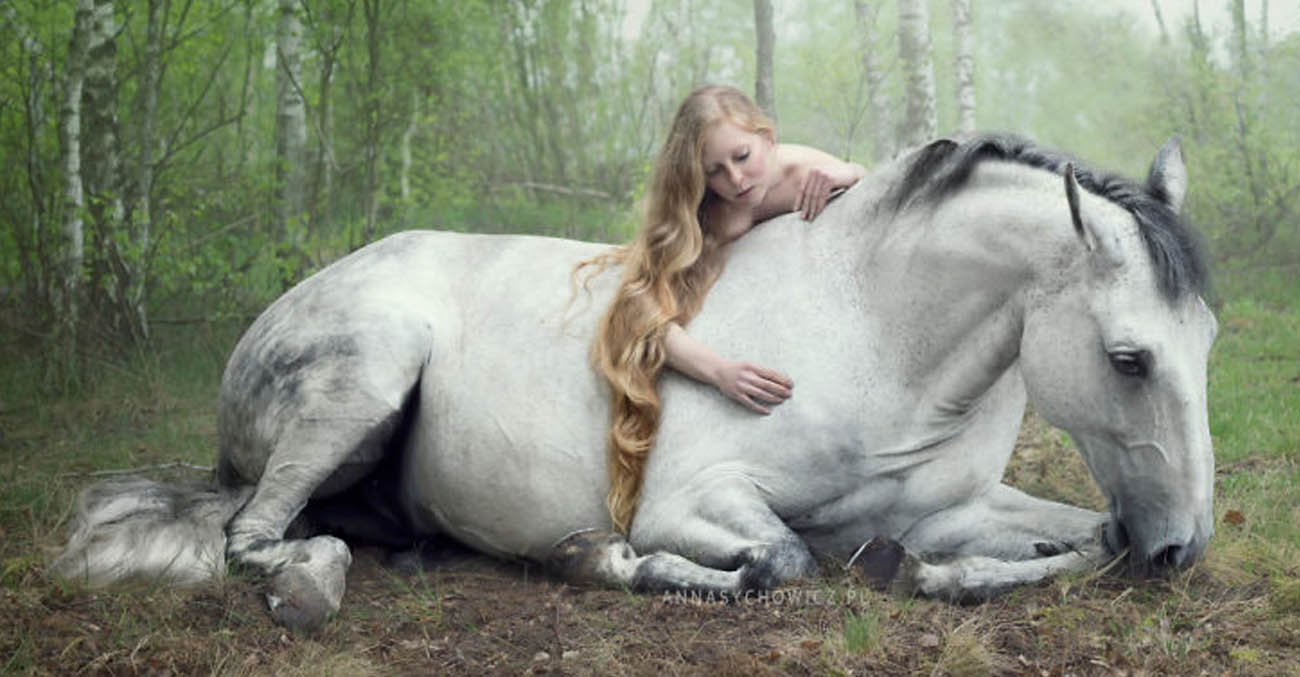 Incredible Bond Between Horse and Rider