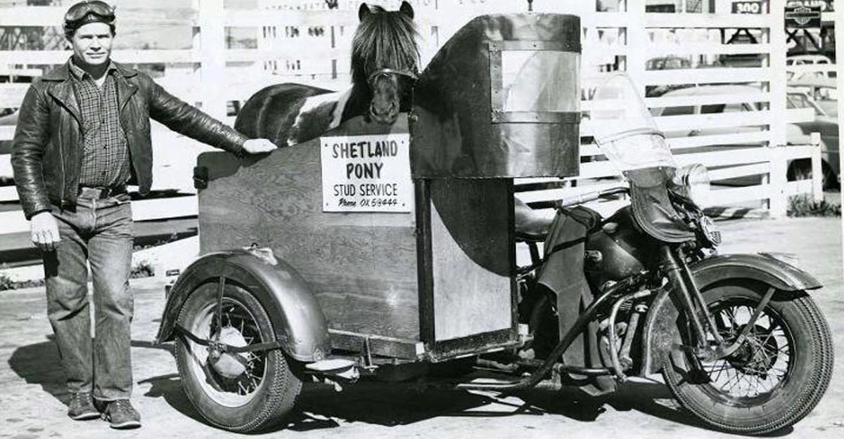 How to Transport a Horse with a Motorcycle