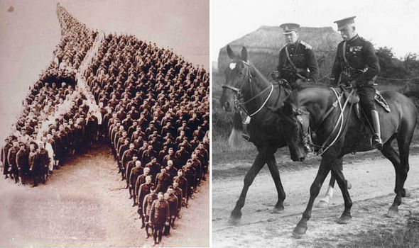 Horses Of World War One