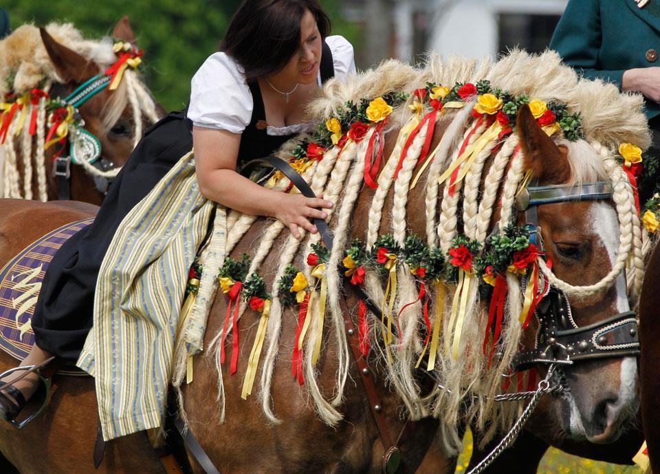 Horses With Great Hair