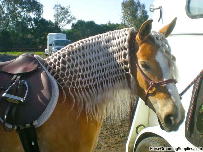 Horses With Great Hair