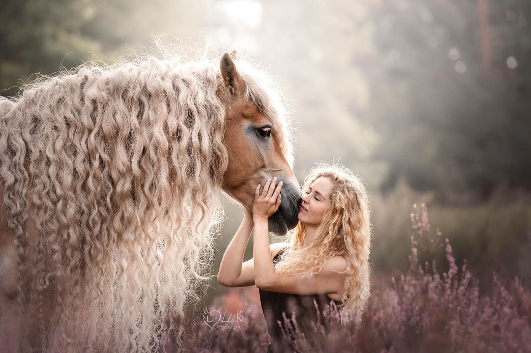 Horses With Great Hair