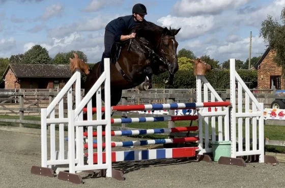 Corrindon Dancer – 16.3hh Liver Chestnut Irish Draught Stallion