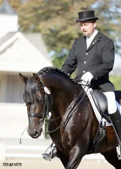 Steinburg (Kennedy x Marduc) : Trakehner Stallion