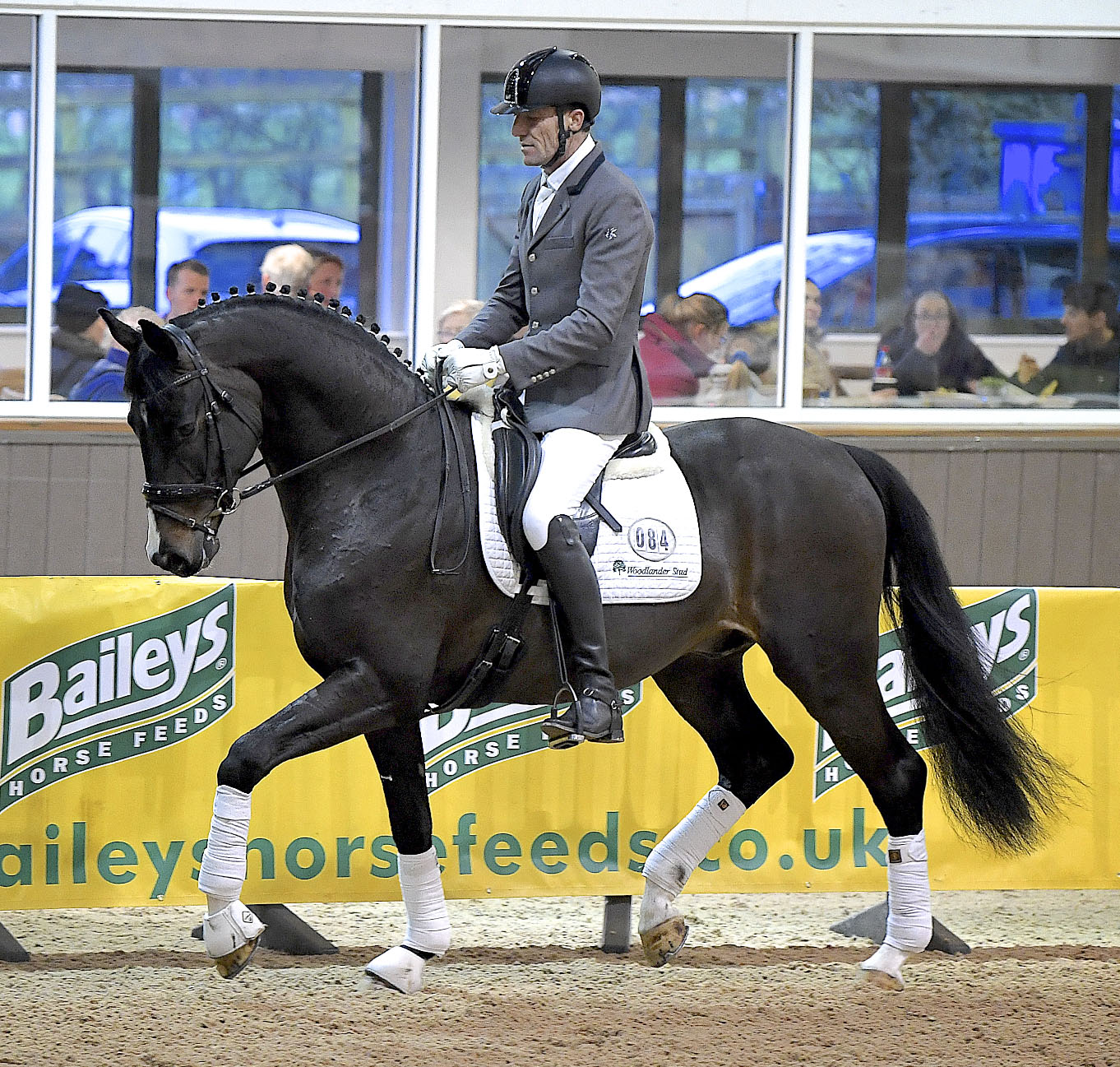 Grand Designs (Grand Galaxy Win x Florencio) – Dressage