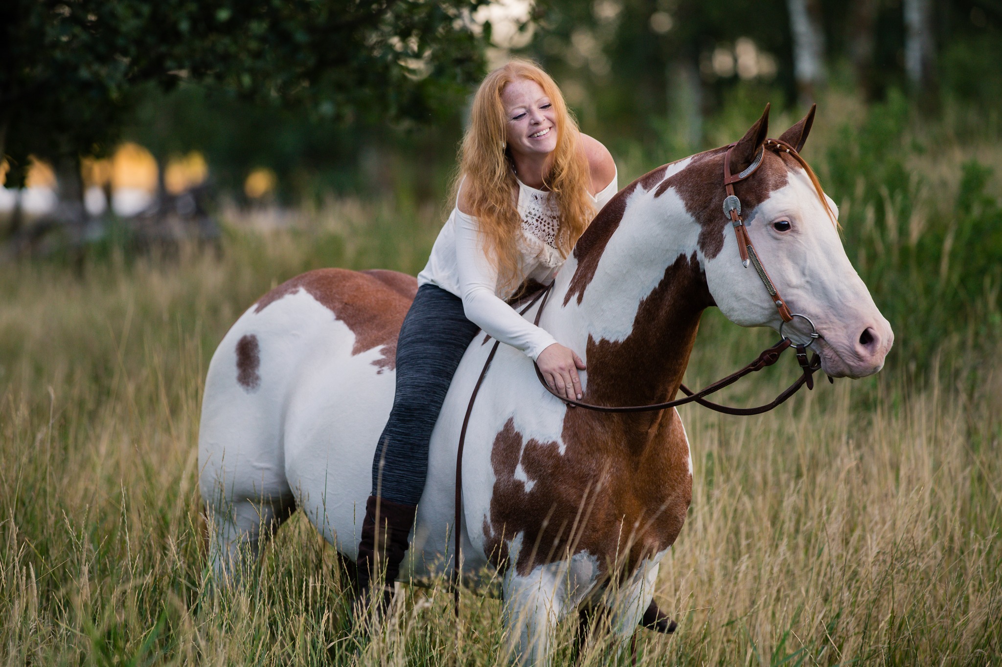Stallions At Stud StableExpress