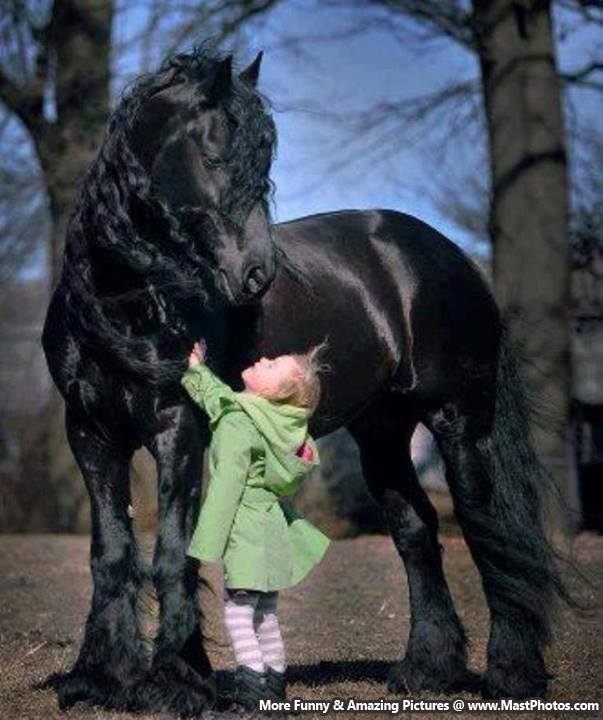 Horses & Kids