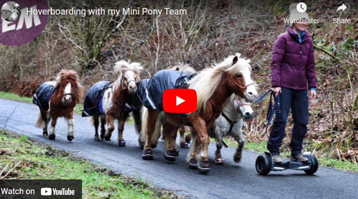 Hoverboarding with my Mini Pony Team