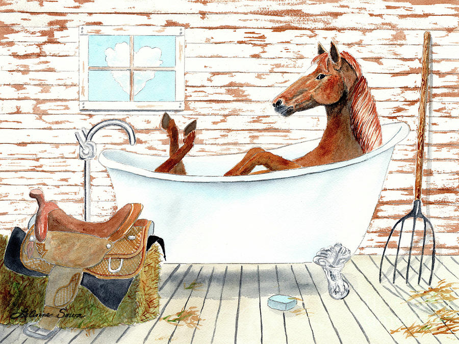 How to bathe a horse