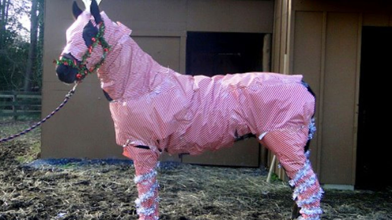 How To Gift Wrap A Horse For Christmas