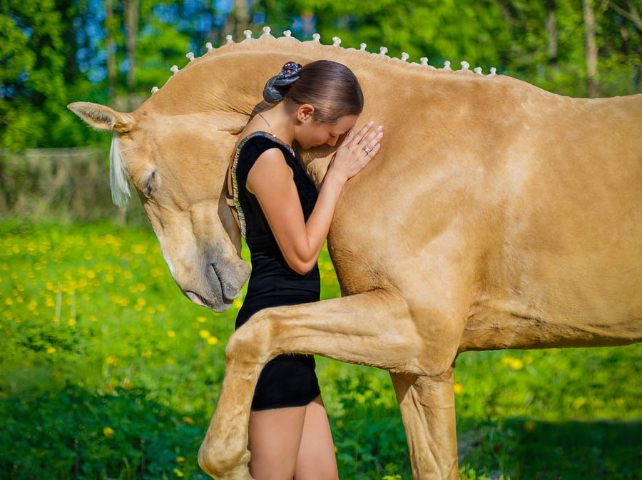 Hugging A Horse Is Soul Healing - Wonderful Video
