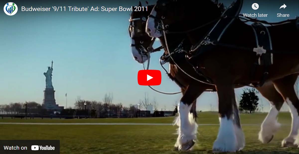 In Remembrance... Budweiser Clydesdale 9/11 Tribute