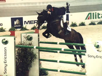 Handel II Showjumping stallion & Michael Whitaker