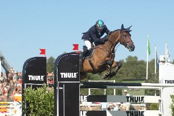 Royne Zetterman Showjumper Isaac