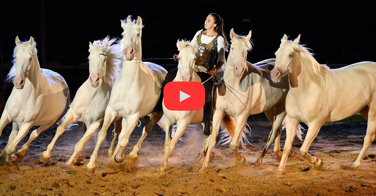 Iseulys Desle And Her Six Stunning Cremello Horses