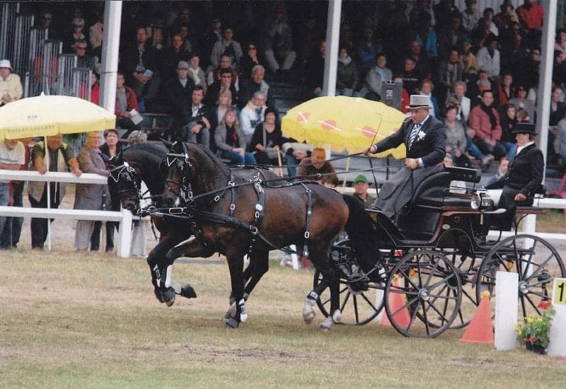 Janneke Brinke Ten - Horse Driving