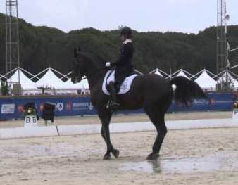 Jessica Neuhauser - Dressage Rider