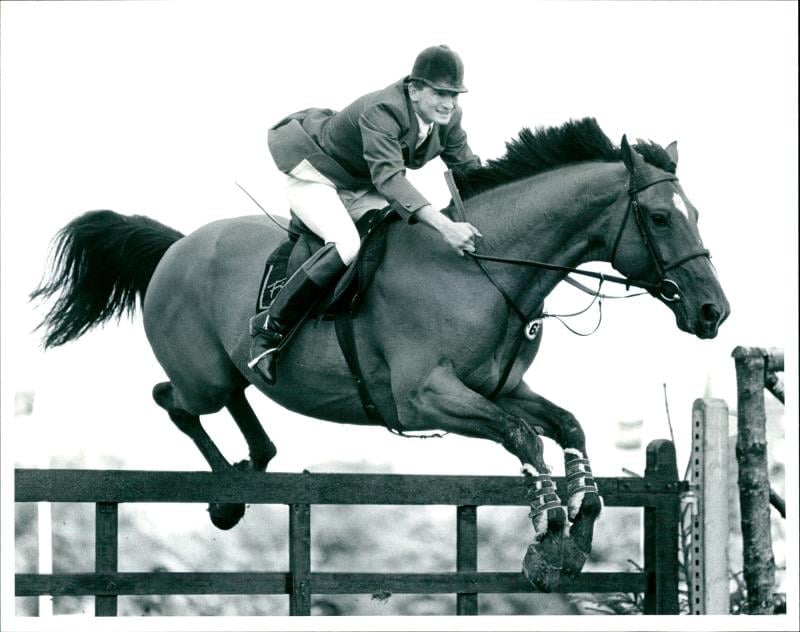 Joe Turi - Showjumper