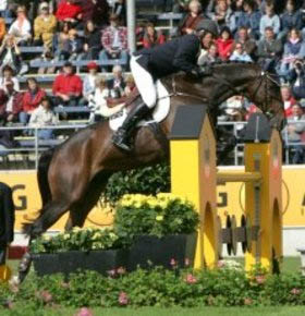 John Whitaker & Showjumping Stallion Peppermill