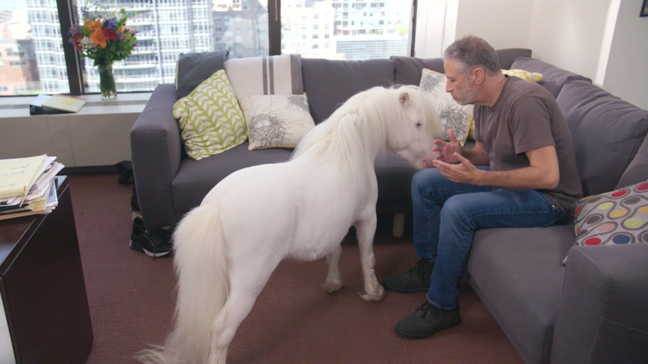 Jon Stewart - Horse Masseuse
