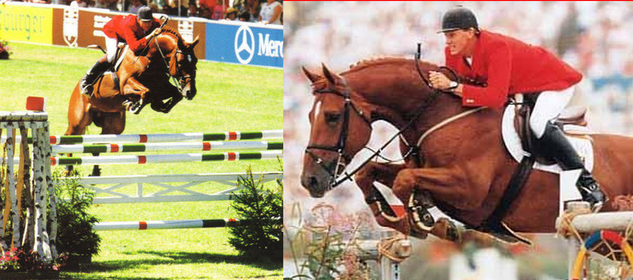 Jus-De-Pomme-Showjumper