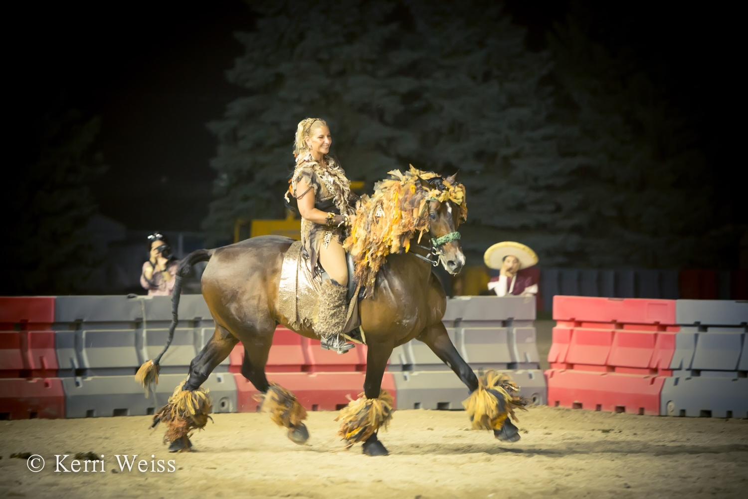 KYB Dressage Dream Upon A Horse