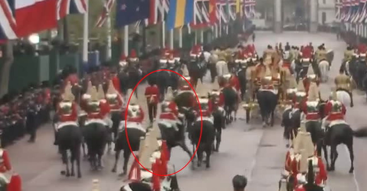 Horse goes rogue during King Charles Coronation procession on The Mall