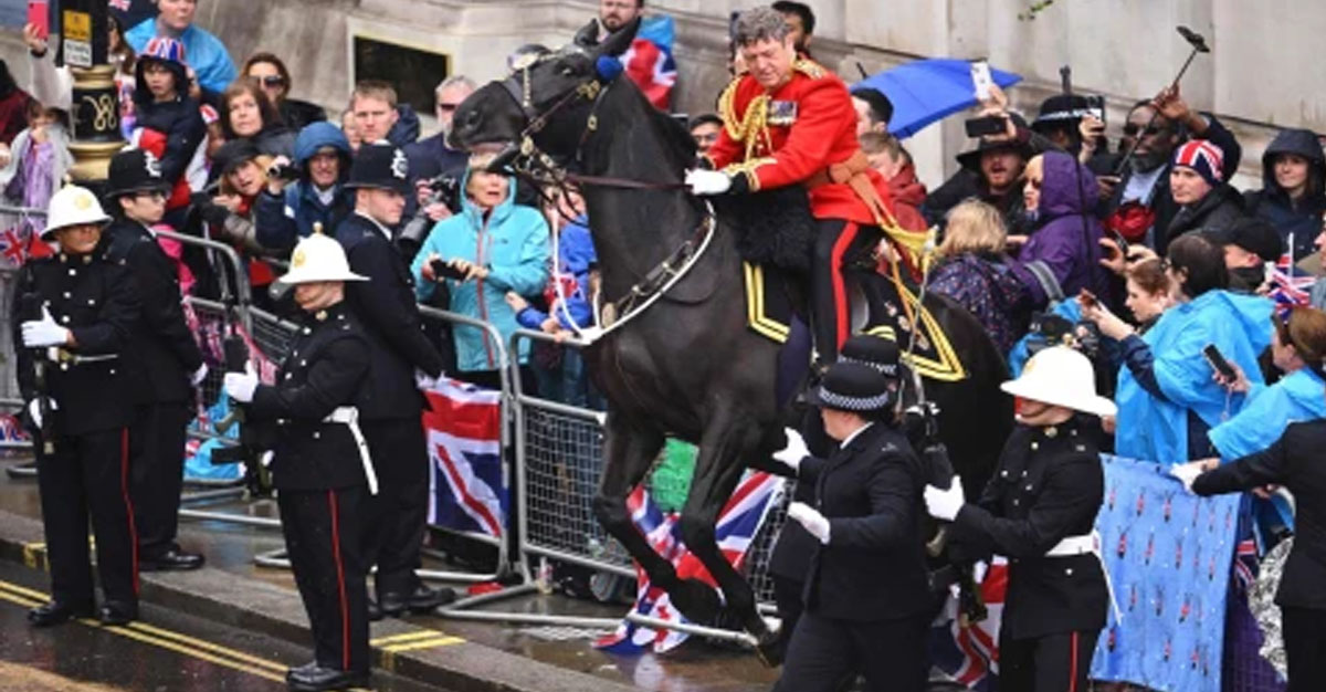 Kings Coronation - Horse Loses Control and Crashes Into Crowds