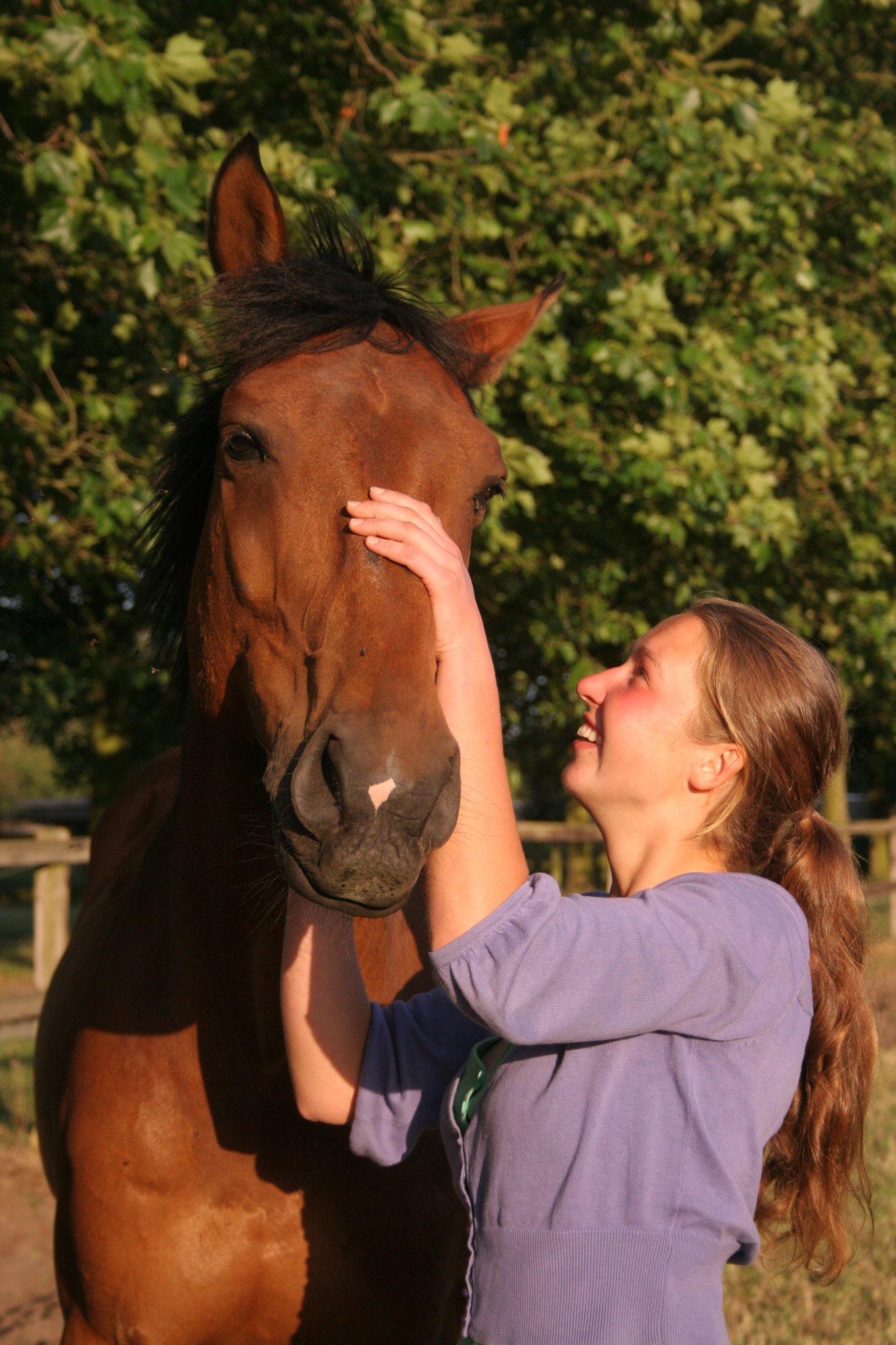 Krista Kliesmete - Showjumper