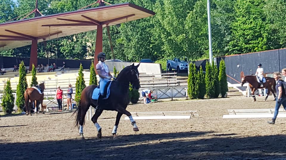 Laura Paataja - Dressage Rider