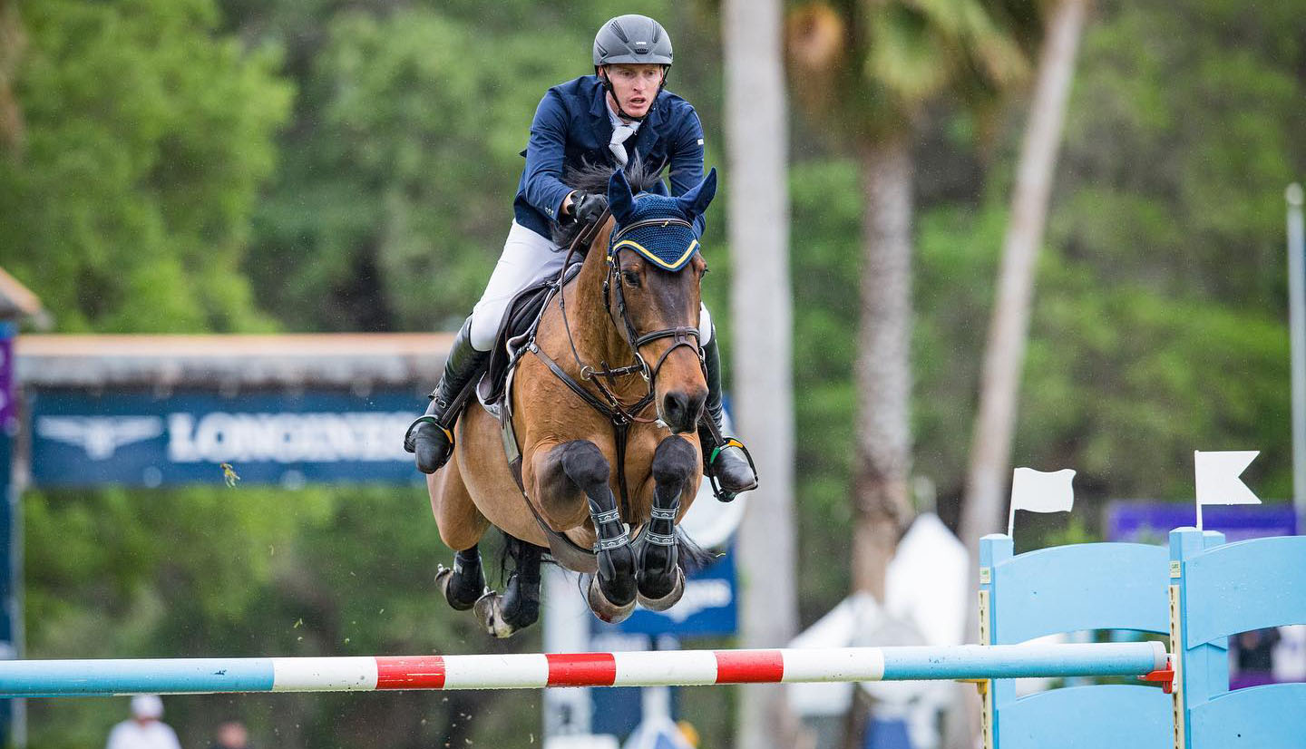 Legacy (Chippendale Z x Bon Ami) competed by Daniel Coyle