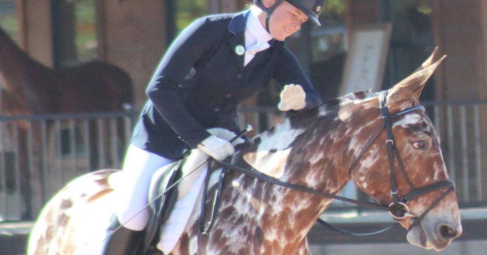 Buckeye The Leopard Appaloosa Dressage Mule