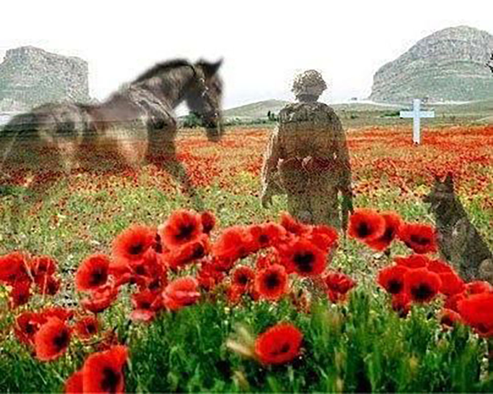 Lest We Forget - Horses Of WW1