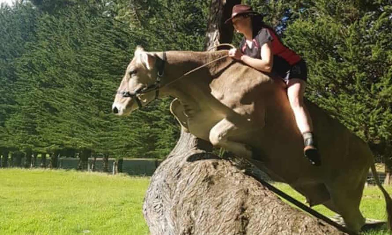 Lilac The Jumping Cow