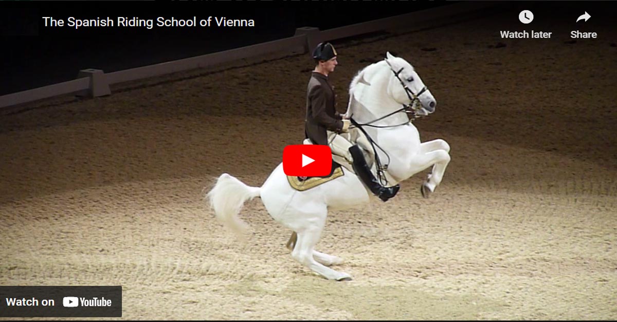 Lipizzaner Dancing Horses - The Spanish Riding School of Vienna