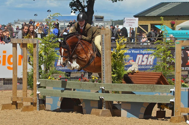 Pony bought for 75 wins tickets for HOYS and Royal International Horse Show