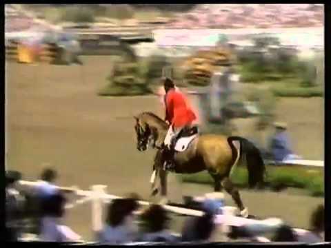 Livius - Showjumper