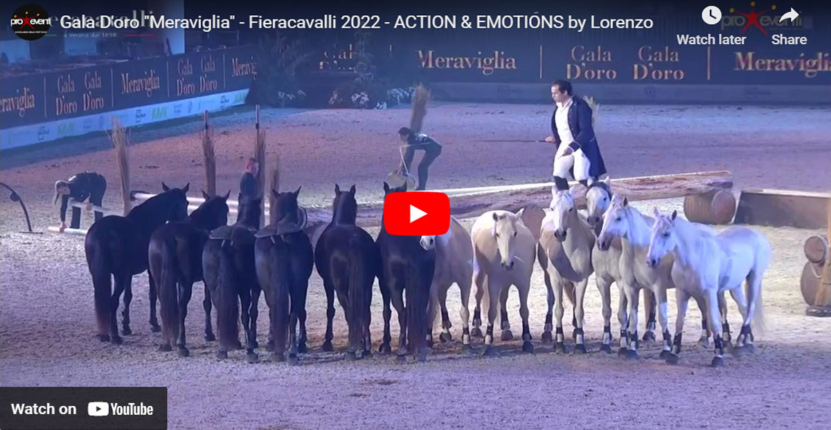 Lorenzo at gallop with his famous and incomparable roman riding and his Lusitanian horses in a free rein performance