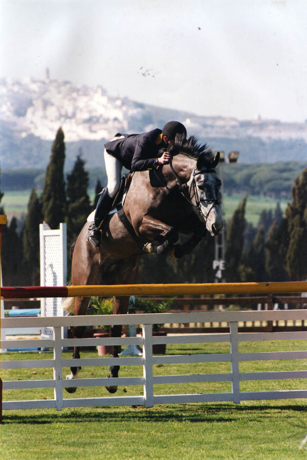 Lugano Showjumper