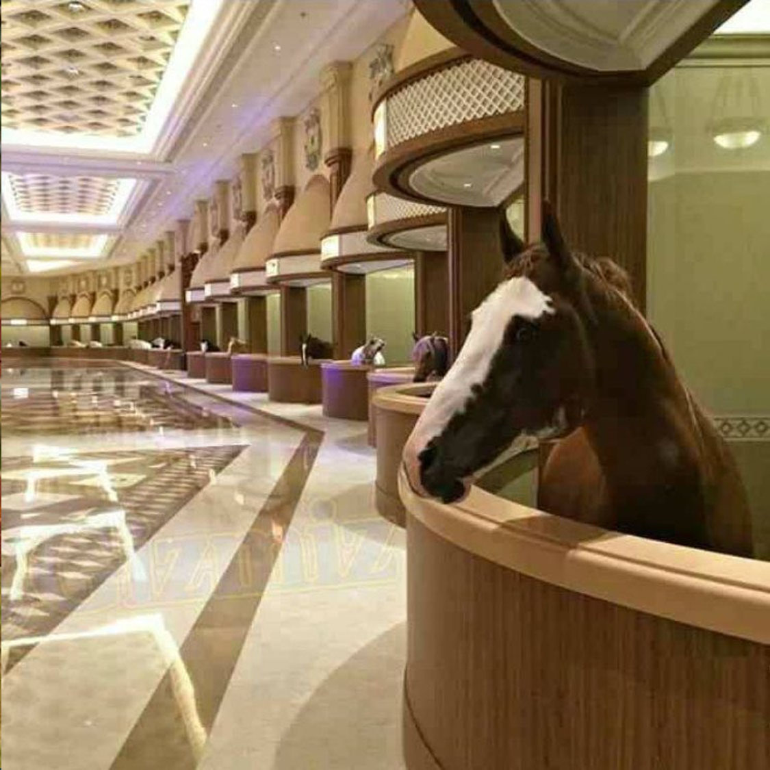 Luxury Marble Palace for Horses @Heilan Equestrian Club in Xinqiao Town