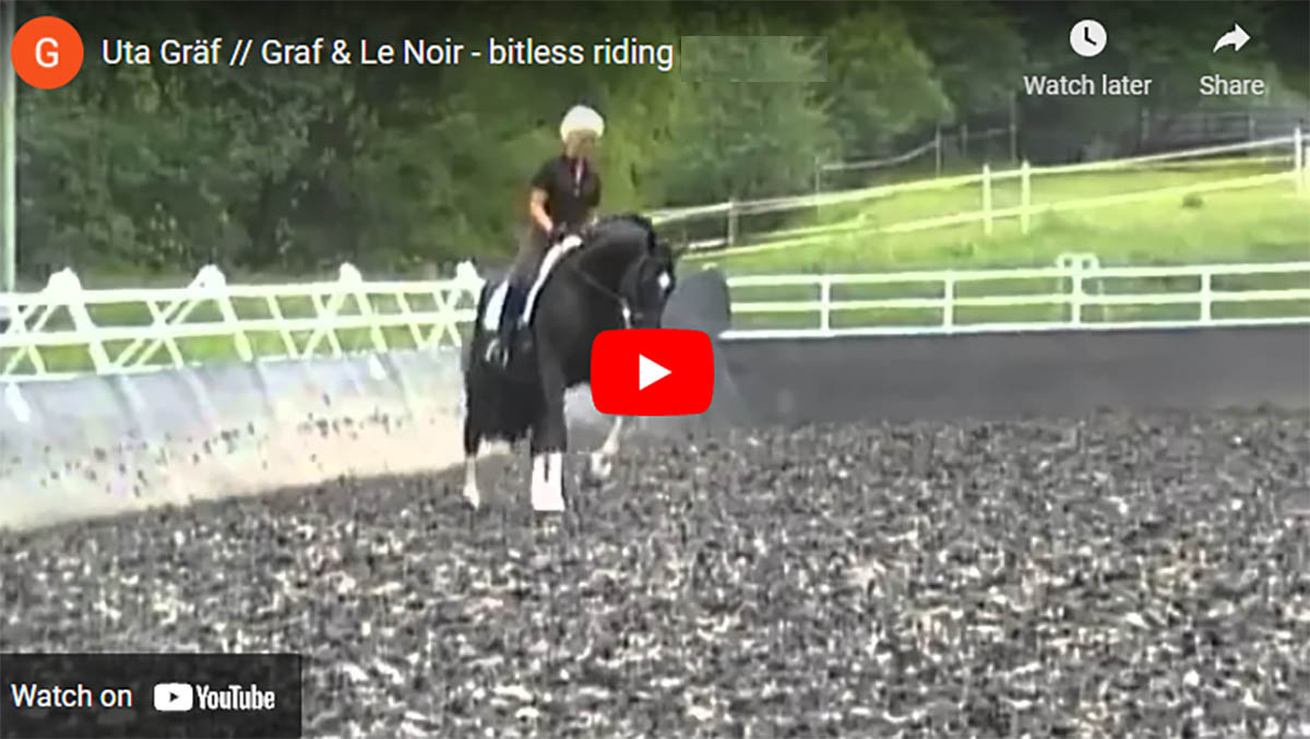 Magical Dressage Movements Without A Bit